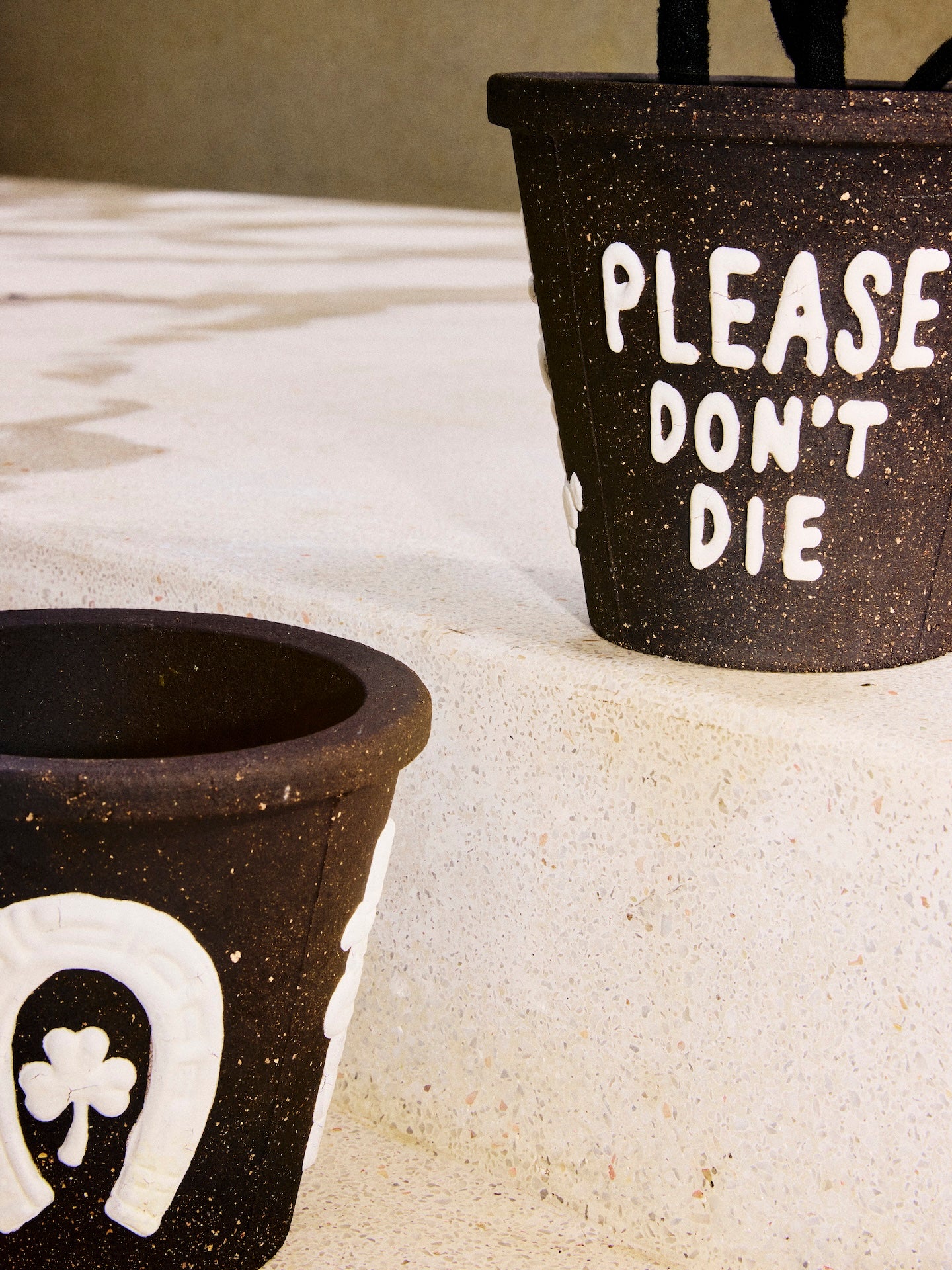 THE SCENE "Please don't die" Planter