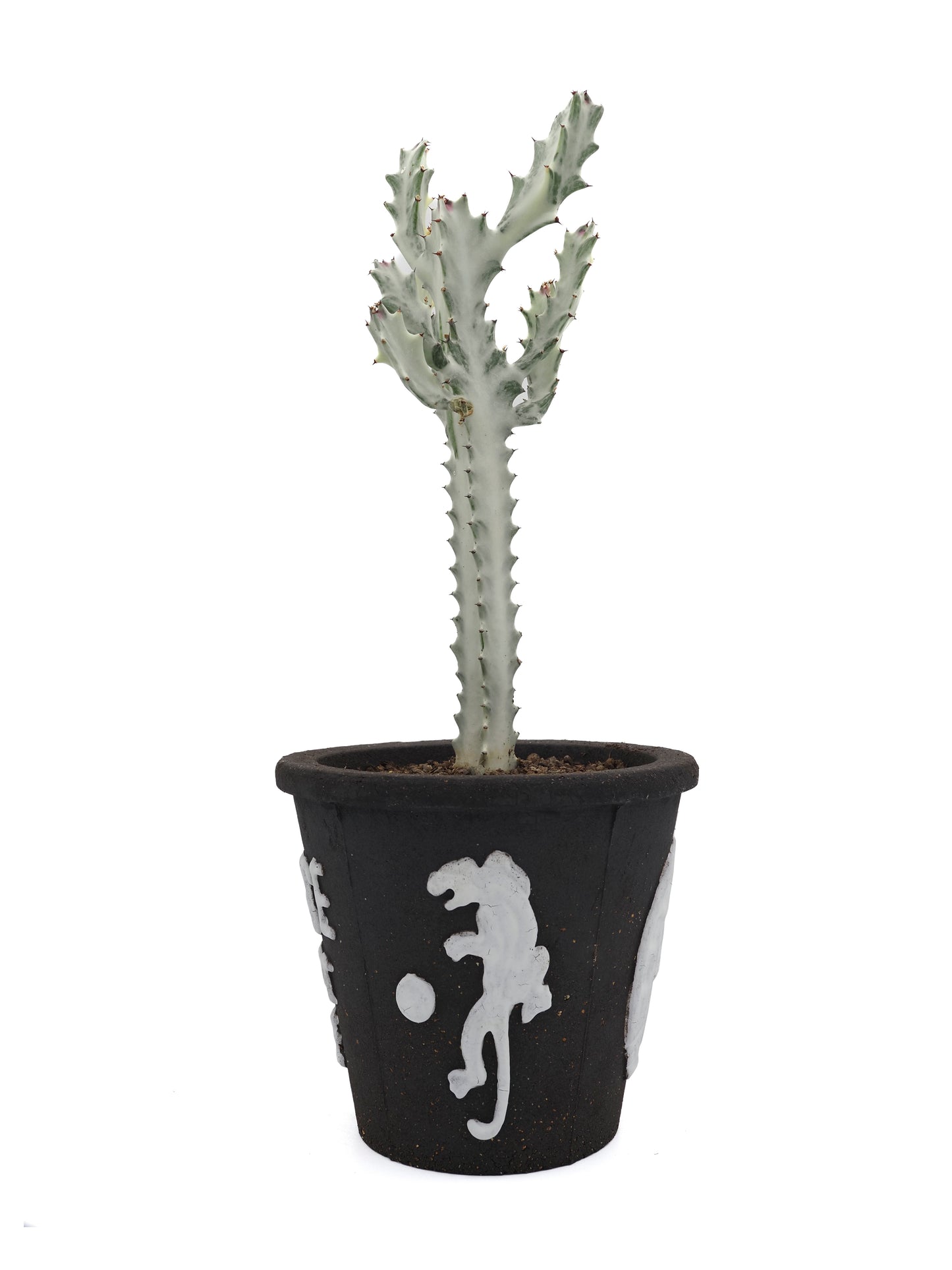 THE SCENE "Please don't die" Planter
