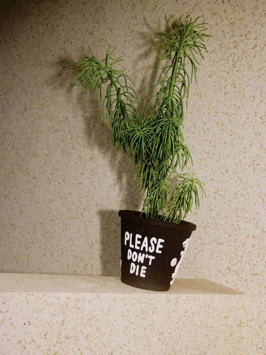 THE SCENE  "Please don't die" Planter